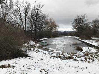 Schloss und Park Belvedere (Weimar)