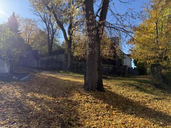 Schloss Eisfeld