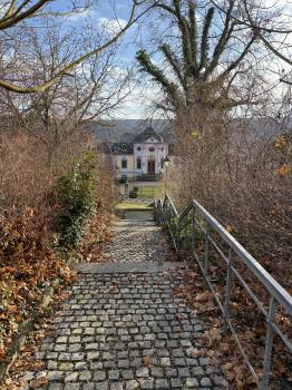 Rokoko-Schloss (Dornburg/Dornburg-Camburg (VG))