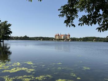 Schloss Moritzburg (Moritzburg)