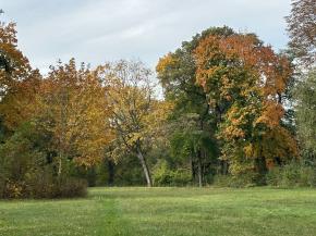 Stadtpark (Rudolstadt)