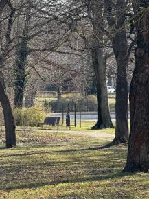 Weimarhallenpark (Weimar)