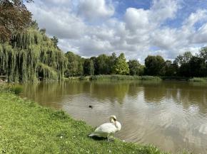Herressener Promenade (Apolda)