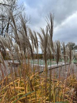Spa & GolfResort Weimarer Land (Blankenhain)