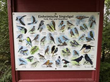 Tierpark Hexentanzplatz (Thale/Harz)