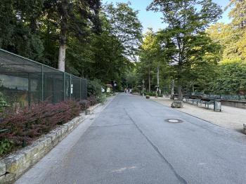 Wildpark (Wernigerode/Harz)
