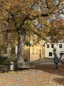 Kirchplatz (Pößneck)