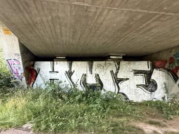 Trambrücke Göschwitz (Göschwitz/Jena)