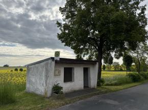 Bushaltestelle (Mohlis/Schmölln)