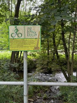 Brücke an der Rodebachmühle (Georgenthal)