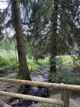 Brücke Tabazer Schneidemühle (Georgenthal)