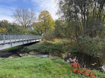Fußgängerbrücke (Viehmarkt) (Pößneck)