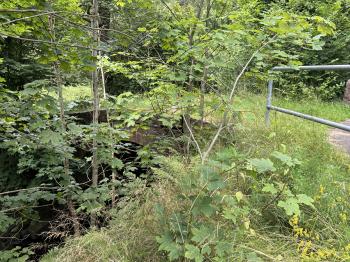 Fußgänger-Bogenbrücke Nähe Lohmühle (Georgenthal)
