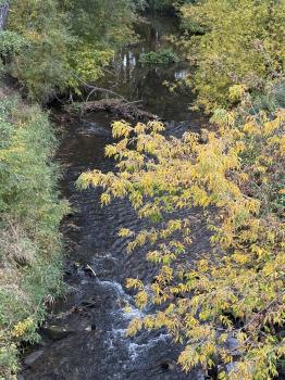 Werrabrücke (Kloster Allendorf (OT)/Bad Salzungen)