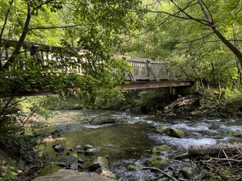 Hammerwandbrücke (Georgenthal)