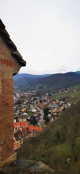 Château de Kaysersberg (Burg Kaysersberg) (Kaysersberg)