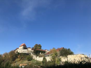 Burg Creuzburg (Creuzburg)