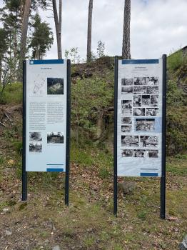 Wysburg (Ruine) (Remptendorf)