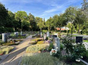 Friedhof (Sömmerda)