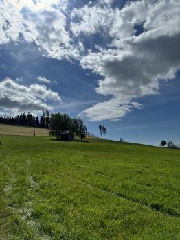 Greinergruft (Neuhaus am Rennweg)