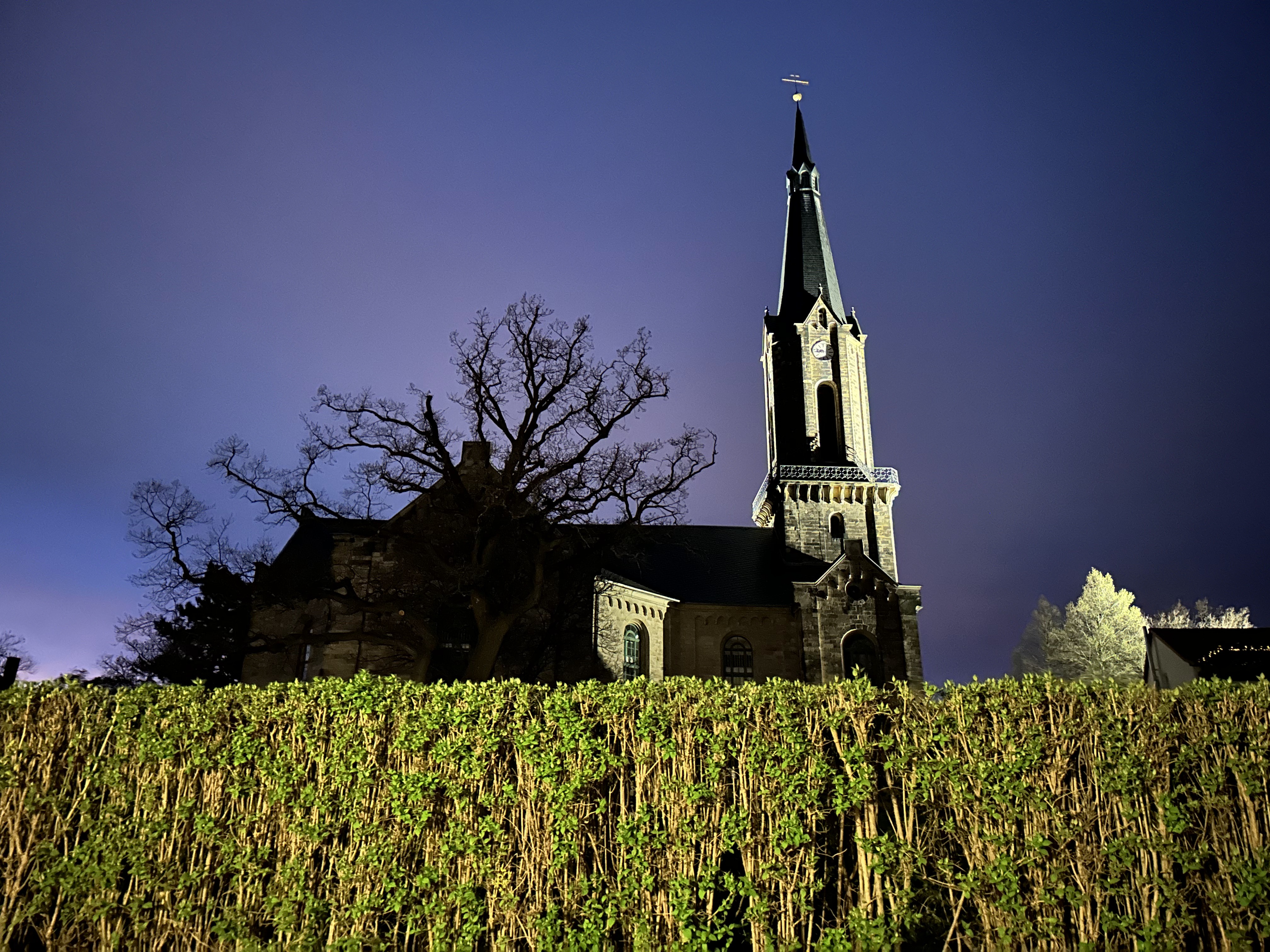 St. Viti-Kirche (Wechmar/Drei Gleichen)