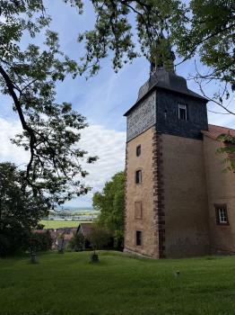 St. Petrus und Paulus-Kirche (Auleben/Heringen)