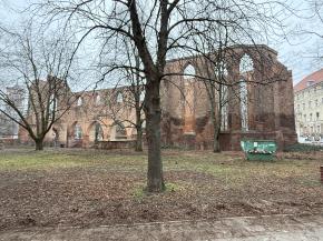 Franziskaner-Klosterkirche (Berlin)