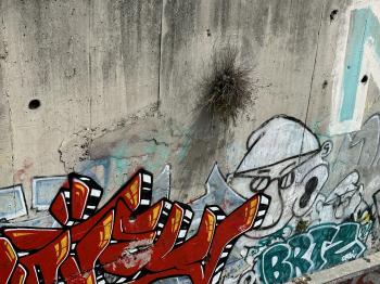 Split (Graffiti)
