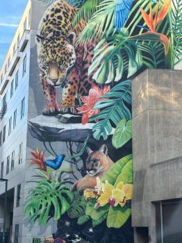 Brüssel (Graffiti)